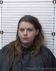Mugshot of MEAGAN JO KNOX booked in Cooke County, Texas on June 25, 2026