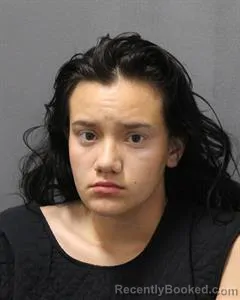 Mugshot of HANNAH LEE GUZMAN booked in Cooke County, Texas on June 27, 2026
