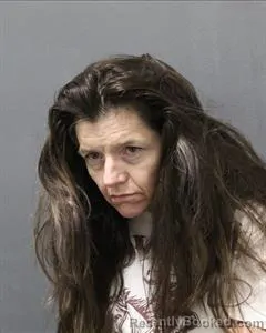 Mugshot of SARAH PSALMS SHEETS booked in Cooke County, Texas on June 30, 2026
