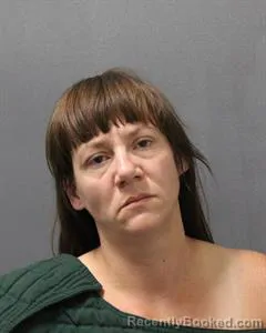 Mugshot of CARRIE ANN BATTLES booked in Cooke County, Texas on July 1, 2026