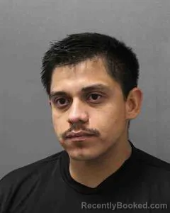 Mugshot of LUIS ANTONIO ALANIZ booked in Cooke County, Texas on July 7, 2026