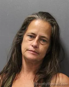 Mugshot of AMENDA MICHELLE STEWART booked in Cooke County, Texas on July 8, 2026