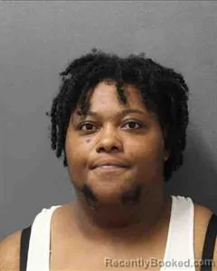 Mugshot of DESTINI CAPRI BISHOP-BRUCE booked in Cooke County, Texas on July 17, 2026
