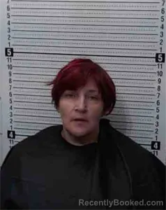 Mugshot of MISTY LEN MCKEE booked in Cooke County, Texas on July 17, 2026