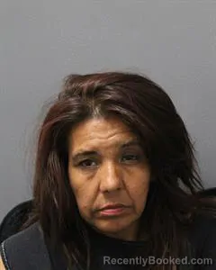 Mugshot of MAYA SARETE booked in Cooke County, Texas on July 29, 2026