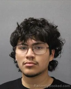 Mugshot of LUIS ENRIQUE PORTILLO booked in Cooke County, Texas on July 30, 2026