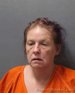 Mugshot of ANTOINETTE NEWSOM booked in Cooke County, Texas on July 31, 2026