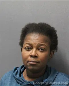 Mugshot of Judy Wanjiku Rienye booked in Cooke County, Texas on August 1, 2026