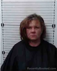 Mugshot of Terrie Jo Adair booked in Cooke County, Texas on August 4, 2026
