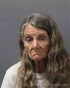 Mugshot of Tammy Renae Dobbs booked in Cooke County, Texas on August 8, 2026