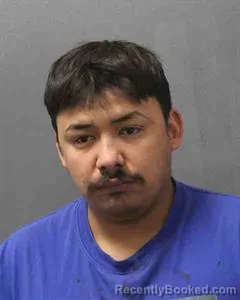 Mugshot of Neo Israel Zamora booked in Cooke County, Texas on August 10, 2026