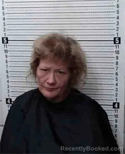 Mugshot of Ester Leona Marie Clark booked in Cooke County, Texas on August 11, 2026