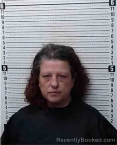 Mugshot of Sherri Collins Northcutt booked in Cooke County, Texas on August 11, 2026