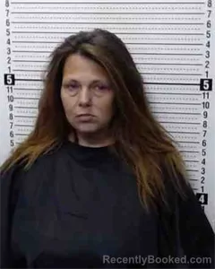 Mugshot of Tamara Joan Abney booked in Cooke County, Texas on August 12, 2026