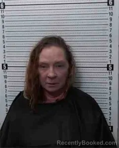 Mugshot of Darla Gail Stockton booked in Cooke County, Texas on August 12, 2026