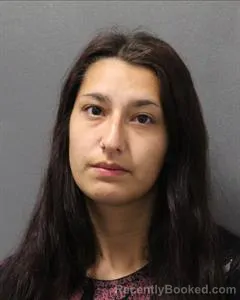 Mugshot of Kirsten Marie Muschalek booked in Cooke County, Texas on August 14, 2026