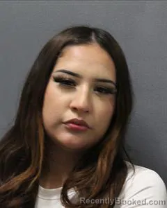 Mugshot of Melanie Vera booked in Cooke County, Texas on August 16, 2026
