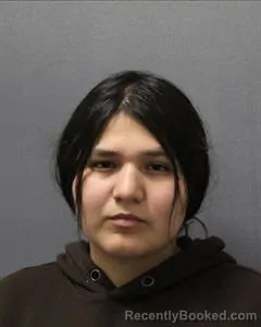 Mugshot of Jenny Marine Lopez-Romo booked in Cooke County, Texas on August 18, 2026