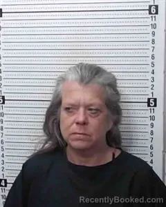 Mugshot of Angelia Lee Lindenborn booked in Cooke County, Texas on August 20, 2026