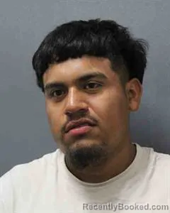 Mugshot of Alexis Avalos booked in Cooke County, Texas on August 20, 2026