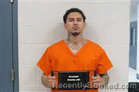 Mugshot of LUIS GONZALO DELAGARZA