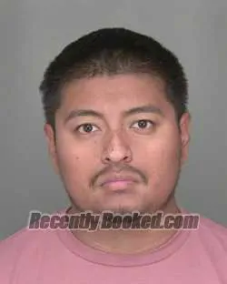 Booking photo from Highlands County, Florida