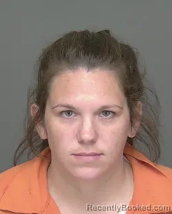 Booking photo from Highlands County, Florida