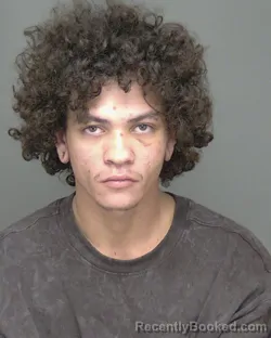 Mugshot of JIMMY JULIAN ALVAREZ