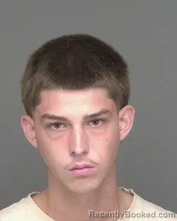 Booking photo from Highlands County, Florida