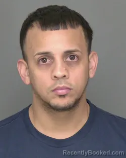 Booking photo from Highlands County, Florida