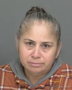 Mugshot of MERCED ANCELMO BAZA