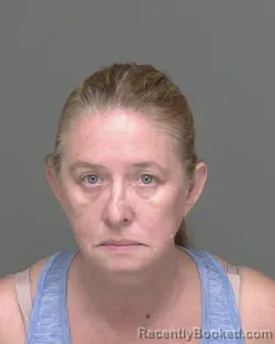 Mugshot of BRANDY NICOLE FISCHER