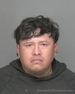 Mugshot of MARIO TREJADA-FRANCISCO