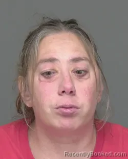 Mugshot of DANIELLE ROSE VANNERSON