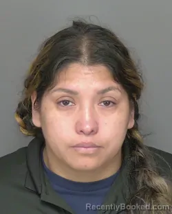 Mugshot of HERMELINDA FABIAN