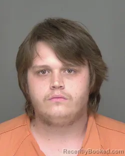 Mugshot of DYLAN JAMES GOVERN