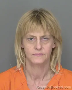 Mugshot of JODI RENE FOUNTAIN