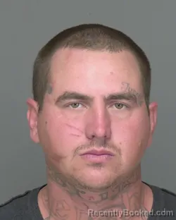 Mugshot of JOHNNY LAMAR DOWNING