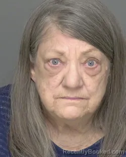 Mugshot of KAREN SUE BRINKMAN