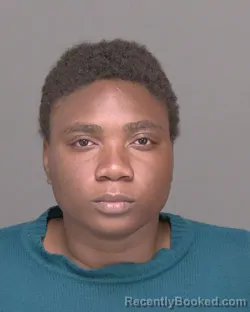 Mugshot of SAGINE N DELVA