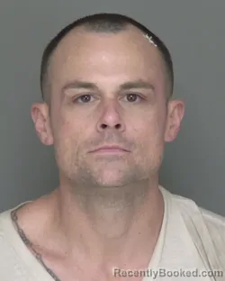 Mugshot of JASON CHARLES INDELICATO