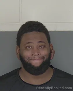 Mugshot of DAMIEN LAMAR WILLIAMS