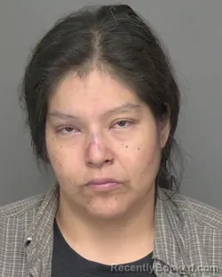 Mugshot of MARTHA ORTEGA DOMINGUEZ booked in Highlands County, Florida on March 5, 2026