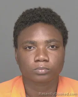 Mugshot of SAGINE N DELVA booked in Highlands County, Florida on March 6, 2026