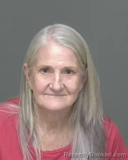 Mugshot of SUSAN GAIL WESTENHISER booked in Highlands County, Florida on March 9, 2026