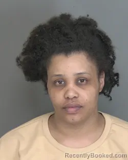 Mugshot of DARRISA SHAMBRIA GIBSON booked in Highlands County, Florida on March 16, 2026