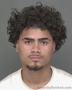 Mugshot of ELIAN RAFAEL HERNANDEZ CEBALLOS