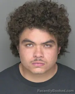 Mugshot of ORLANDO EZEKIEL RODRIGUEZ