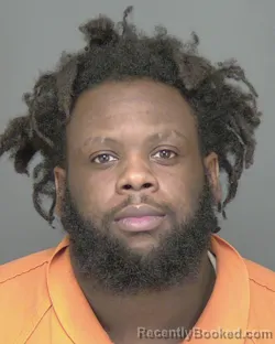 Mugshot of TERRELL DEVON LESHAWN WILLIAMS