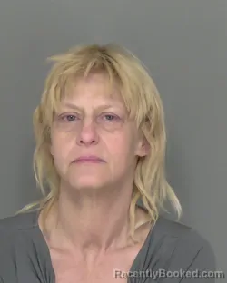 Mugshot of JODI RENE FOUNTAIN